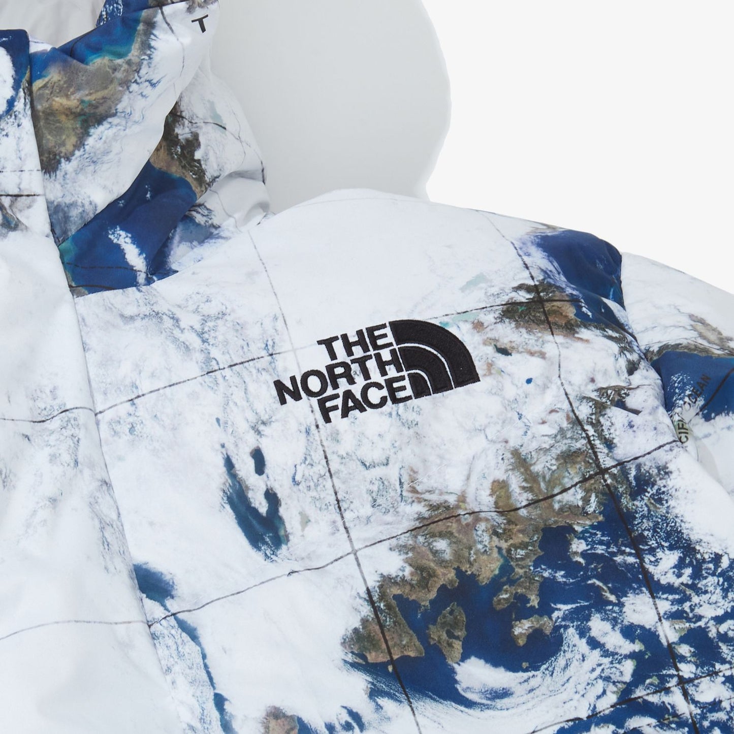 10083 【THE NORTH FACE】ザノースフェイス ノベルティ ヌプシ ダウン ジャケット アースパターン
